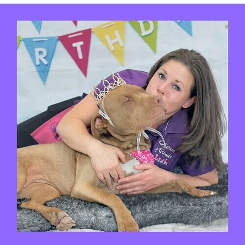 Professional dog photography capturing personality and holiday moments