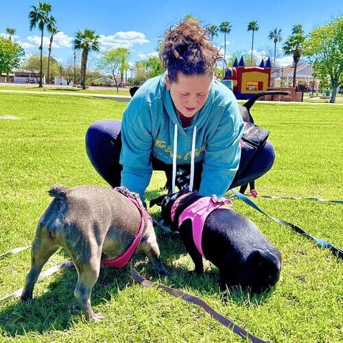 Kristie, the positive reinforcement dog training, helping two dog learn commands during a group dog training class in Glendale, AZ.
