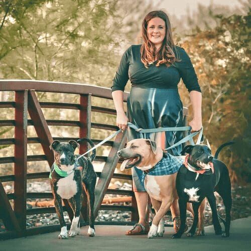 Kristie Halverson, owner and founder of Furbabies & Friends, walking her three bully mixes on a bridge during a professional family photoshoot.