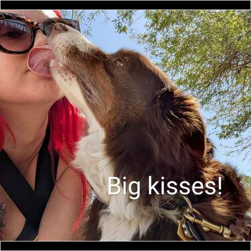 Becca dog walker for FurBabies & Friends in Peoria AZ