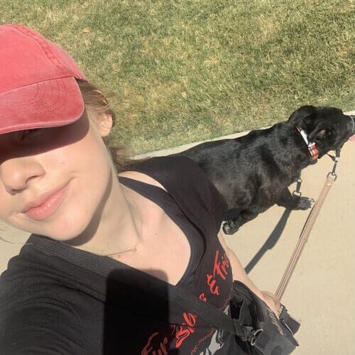 Daily dog walking in Glendale AZ by FurBabies & Friends