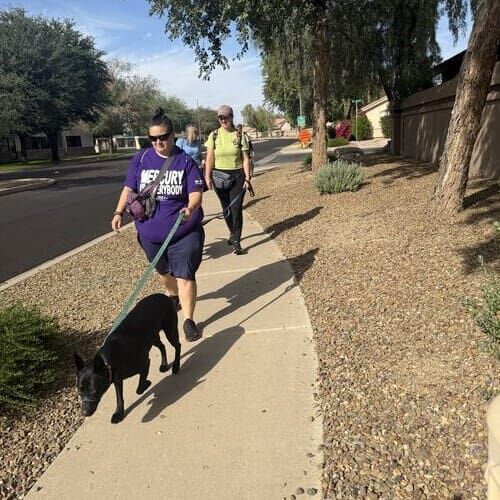 FurBabies & Friends dog obedience training class in Glendale AZ