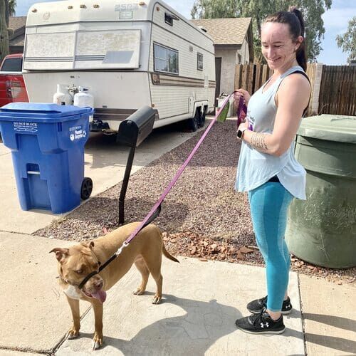 FurBabies & Friends dog walker walking Vesta the tan Pit Bull in Phoenix AZ