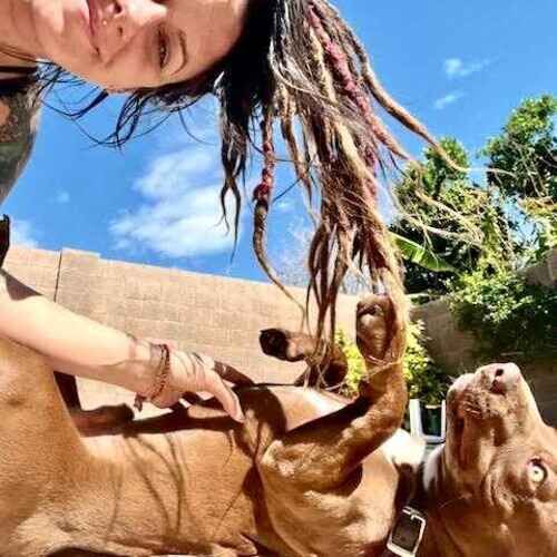 FurBabies & Friends pet sitter Brittany enjoying a puppy potty break with Gunner in Glendale AZ