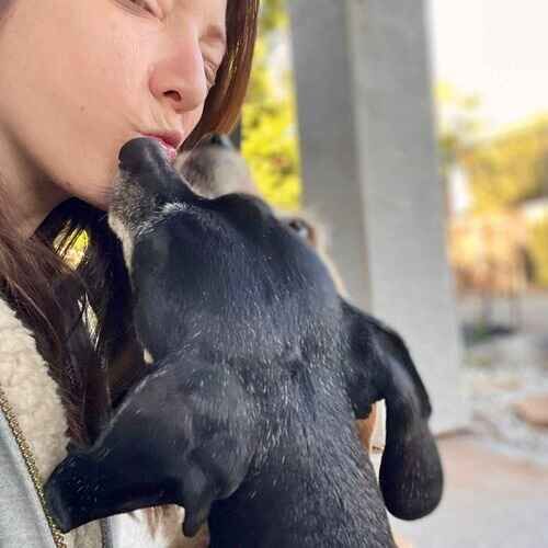 FurBabies & Friends pet sitter getting kisses from two dogs in Glendale AZ