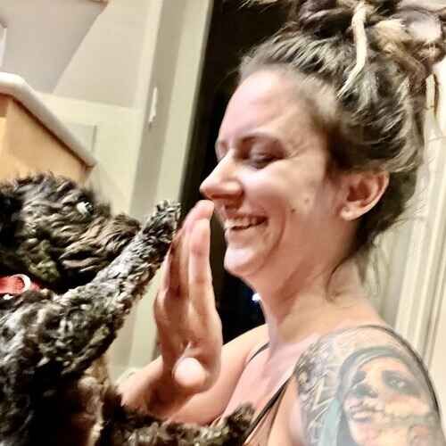FurBabies & Friends pet sitter playing high five with a small black dog during overnight pet sitting in Peoria AZ