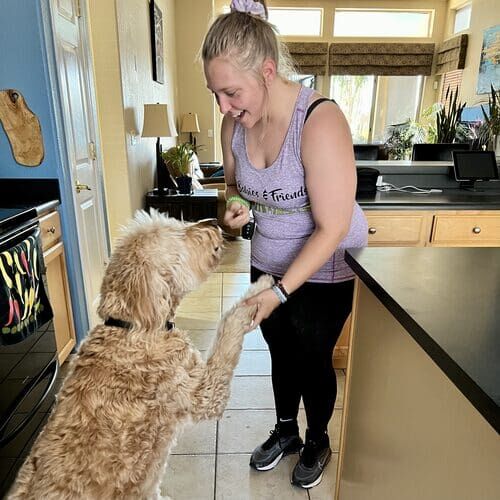 FurBabies & Friends pet sitter shaking hands with a Goldendoodle in Glendale AZ