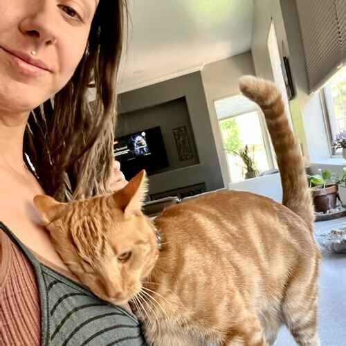 FurBabies & Friends pet sitter snuggling with an orange cat during pet sitting visits in Phoenix AZ
