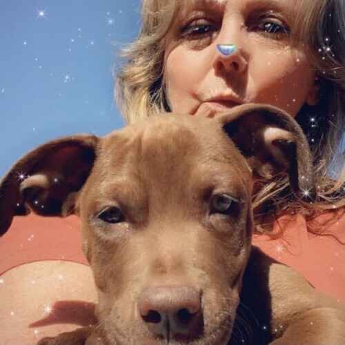 FurBabies & Friends pet sitter snuggling with a Pit Bull puppy during a midday potty break in Glendale AZ
