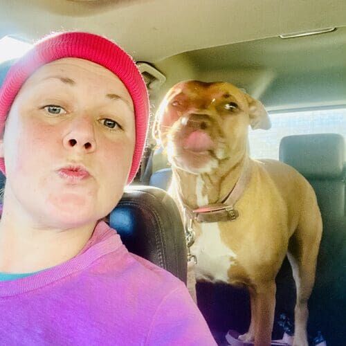 Kristie, owner and dog trainer, transporting Vesta the Pit Bull to daycare in Phoenix AZ