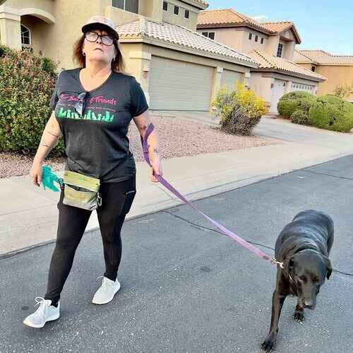 Michelle dog walker in Glendale AZ walking Sonny the senior chocolate Lab