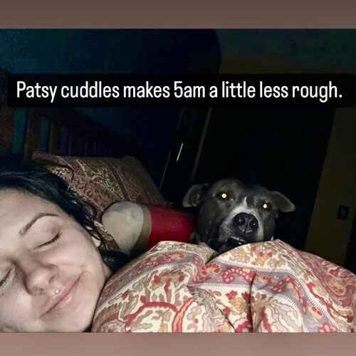 Overnight pet sitter Brittany taking a photo while sleeping as grey Pit Bull Patsy watches over her in Phoenix AZ