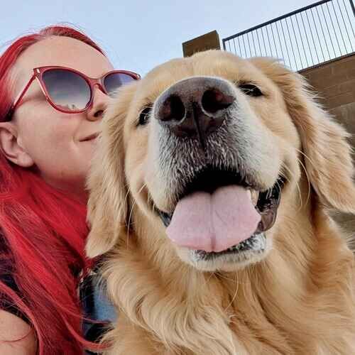 In-home overnight pet sitter Becca with Bailey the Golden Retriever in Vistancia AZ