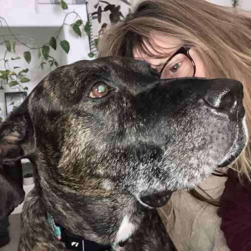 Pet caretaker Michelle giving kisses to Athena the bully mix in Glendale AZ