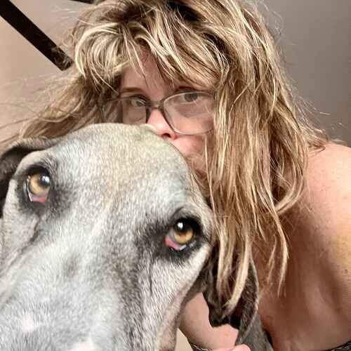 Pet sitter affectionately kissing the top of a Great Dane's head during overnight pet sitting in Glendale AZ