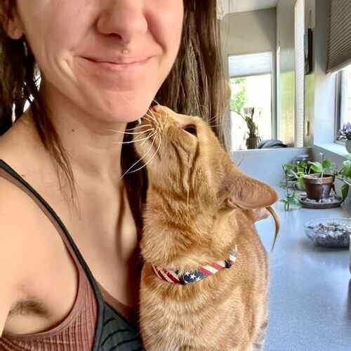 Pet sitter getting kisses from an orange domestic shorthair cat during a pet care visit in Peoria AZ
