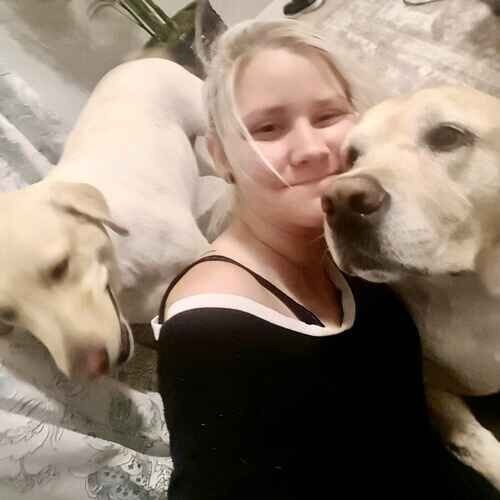 Pet sitter lying down and snuggling two yellow Labs during overnight pet sitting in Peoria AZ