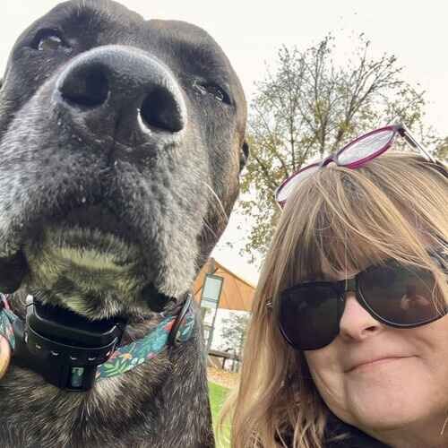 Pet sitter Michelle with Athena the bully mix in Glendale AZ