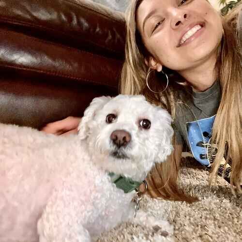 Pet sitter Priscilla during in-home overnight pet sitting in North Phoenix AZ