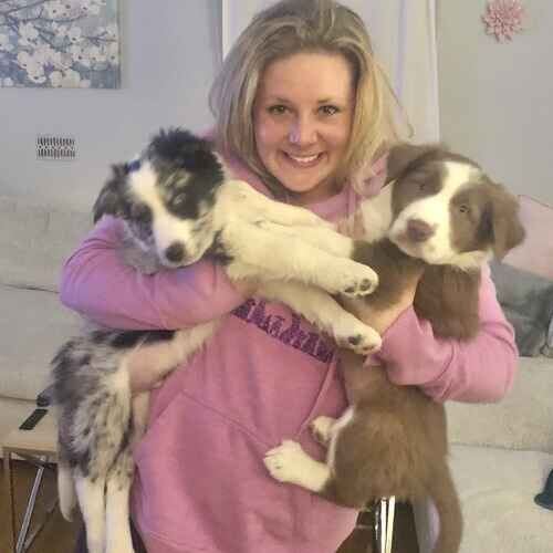 Kristie Halverson snuggling two Aussie puppies during puppy training in Phoenix AZ