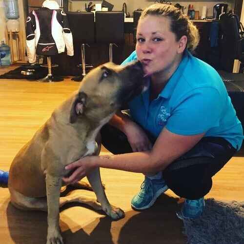 Dog trainer Kristie Halverson getting kisses from a Pit Bull during in-home dog training in Phoenix AZ