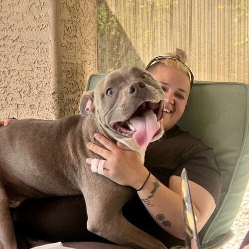 Pet sitter Vanessa holding Dozer the Pit Bull puppy on her lap during in-home dog care in Glendale AZ