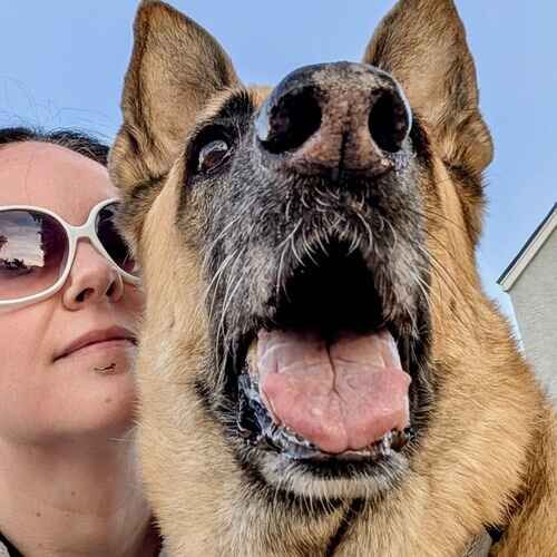Pet sitter Becca takes selfie with senior German Shepherd Rocky during pet sitting in Phoenix, AZ