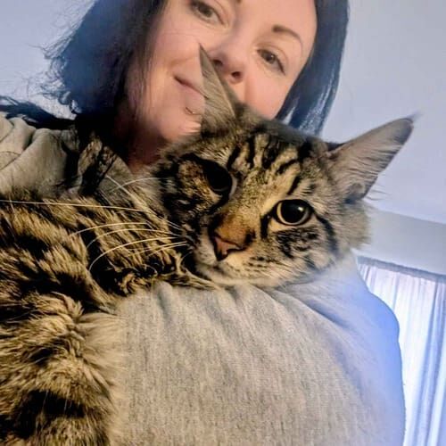 Cat sitter Brittany snuggles a cat during overnight pet sitting in Glendale, AZ