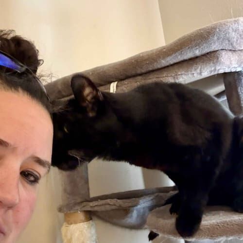 Cat sitter Vanessa receives a head nuzzle from a black cat during cat sitting in Phoenix, AZ