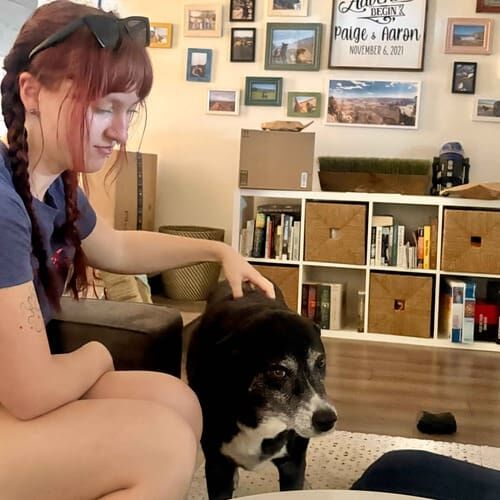 Dog sitter Camryn scratches a black dog during a potty break visit in Glendale, AZ