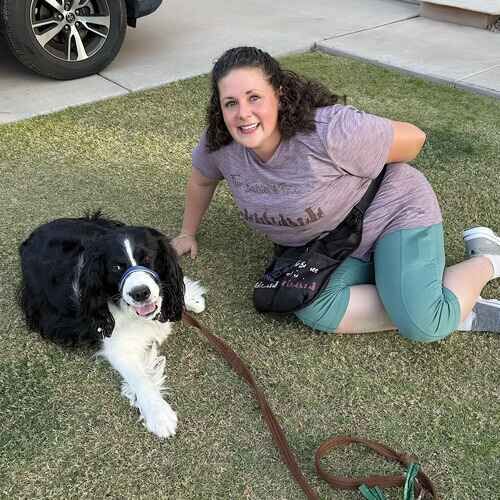 Positive reinforcement dog trainer with Springer Spaniel Abbey after leash reactivity training in Glendale, AZ