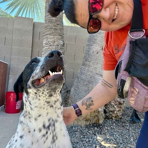 Pet sitter Vanessa pets a cattle dog during a midday potty break in Glendale, AZ